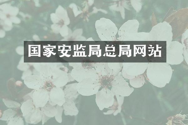 国家安监局总局网站