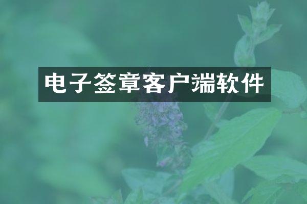 电子签章客户端软件