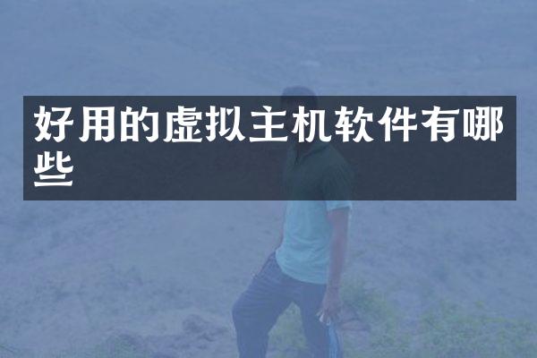 好用的虚拟主机软件有哪些