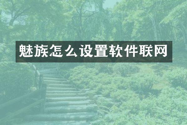 魅族怎么设置软件联网