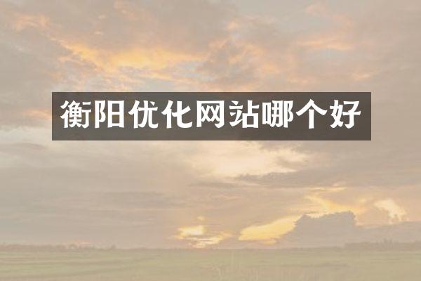 衡阳优化网站哪个好