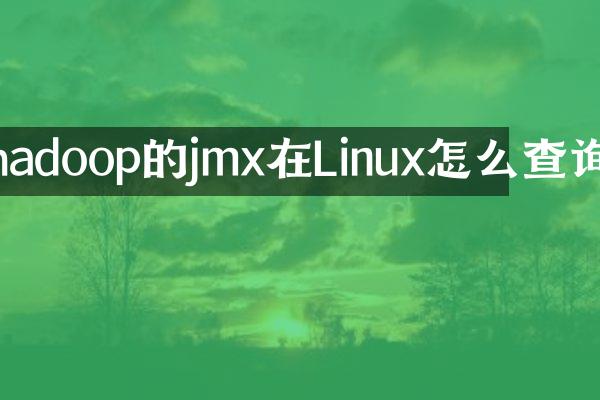 hadoop的jmx在Linux怎么查询