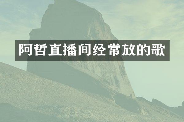 阿哲直播间经常放的歌