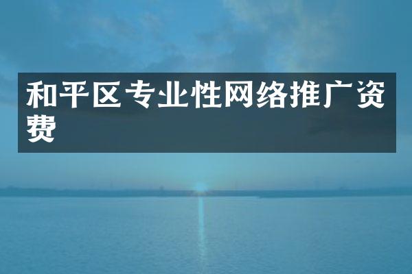 和平区专业性网络推广资费