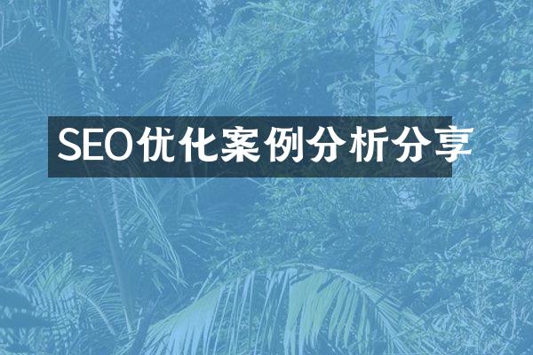 SEO优化案例分析分享