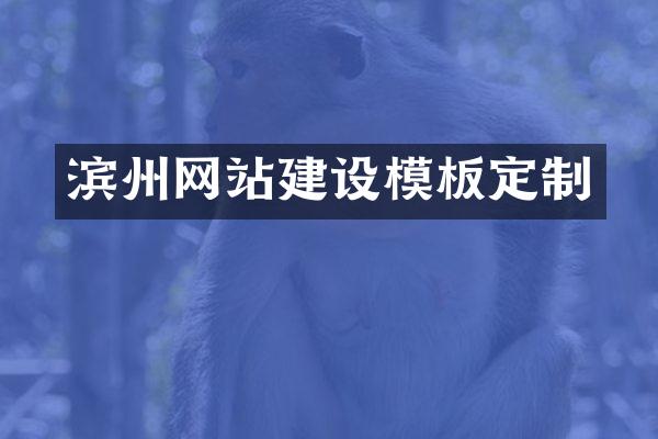 滨州网站建设模板定制