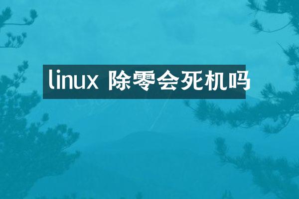 linux 除零会死机吗