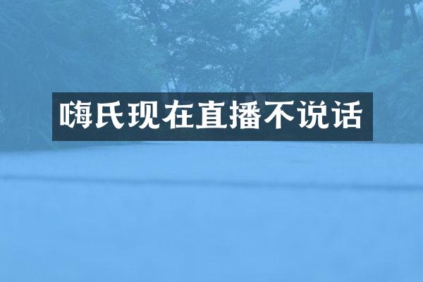 嗨氏现在直播不说话