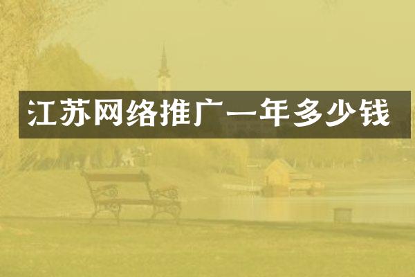 江苏网络推广一年多少钱
