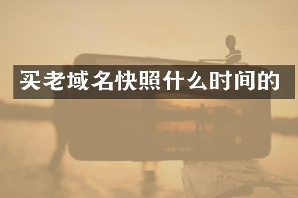 买老域名快照什么时间的
