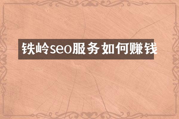 铁岭seo服务如何赚钱