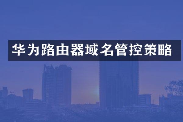 华为路由器域名管控策略