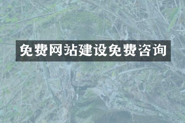 免费网站建设免费咨询