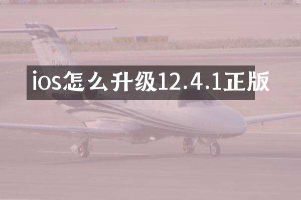 ios怎么升级12.4.1正版
