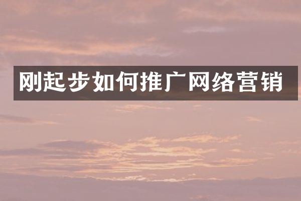 刚起步如何推广网络营销