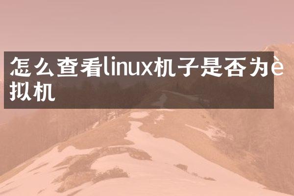 怎么查看linux机子是否为虚拟机