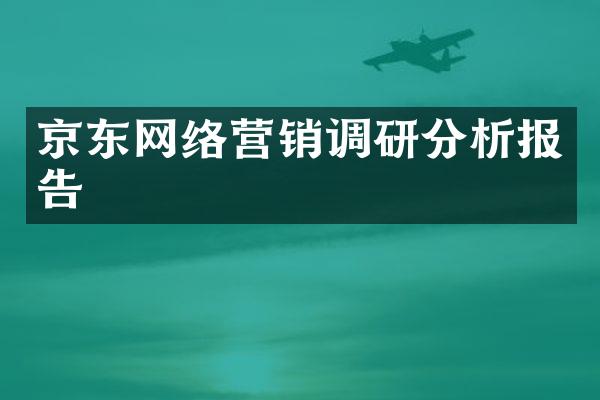 京东网络营销调研分析报告