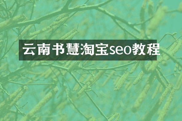云南书慧淘宝seo教程