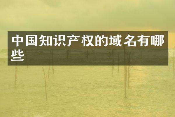中国知识产权的域名有哪些