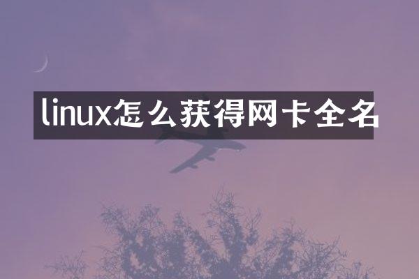 linux怎么获得网卡全名