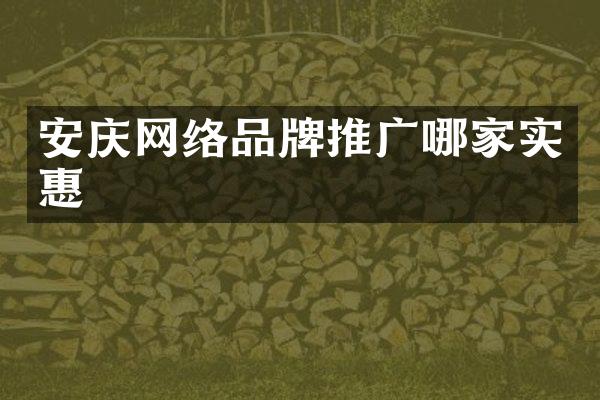 安庆网络品牌推广哪家实惠