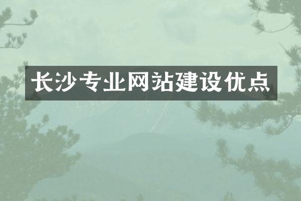 长沙专业网站建设优点