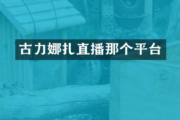 古力娜扎直播那个平台