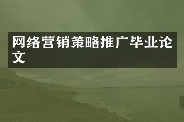 网络营销策略推广毕业论文