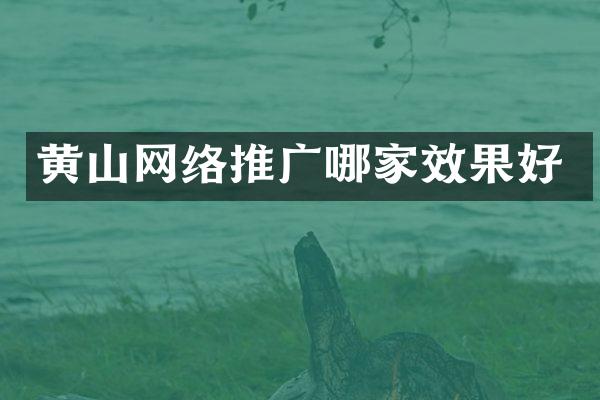 黄山网络推广哪家效果好