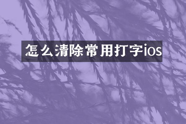 怎么清除常用打字ios