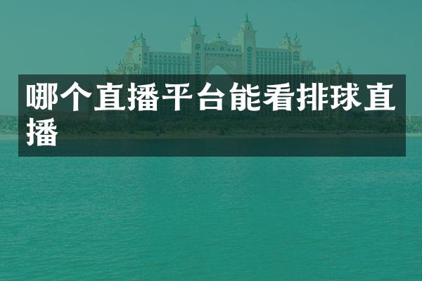 哪个直播平台能看排球直播
