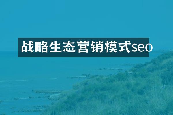 战略生态营销模式seo