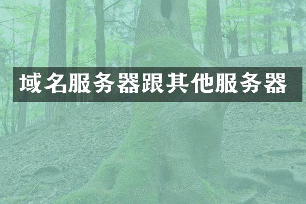 域名服务器跟其他服务器