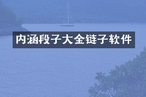 内涵段子大金链子软件