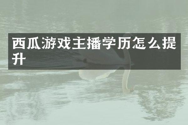 西瓜游戏主播学历怎么提升