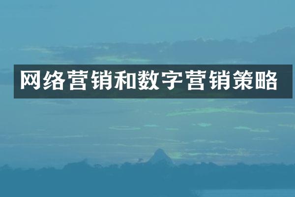 网络营销和数字营销策略