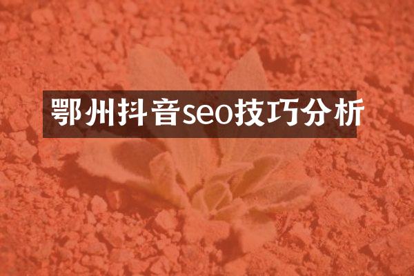 鄂州抖音seo技巧分析