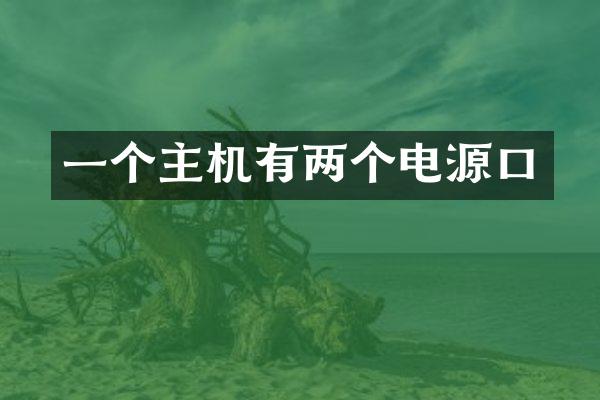 一个主机有两个电源口