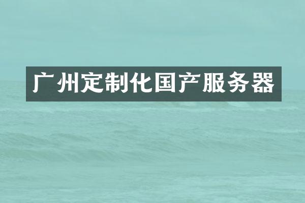 广州定制化国产服务器