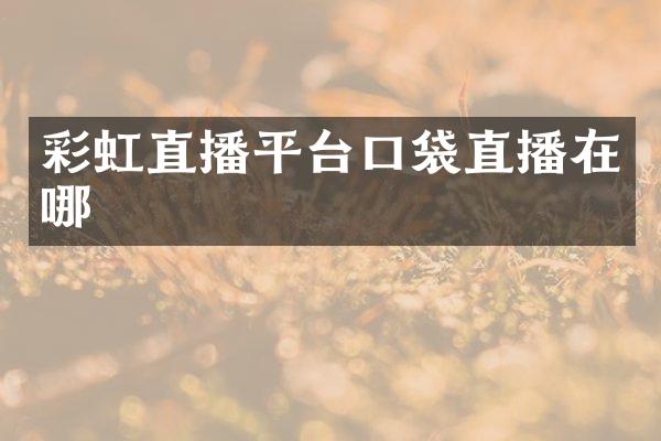 彩虹直播平台口袋直播在哪