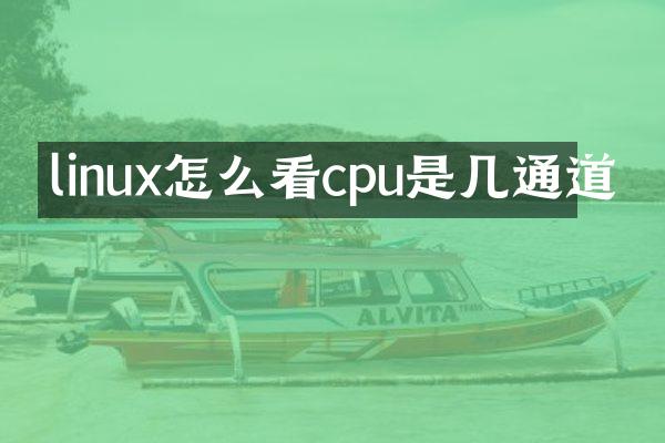 linux怎么看cpu是几通道