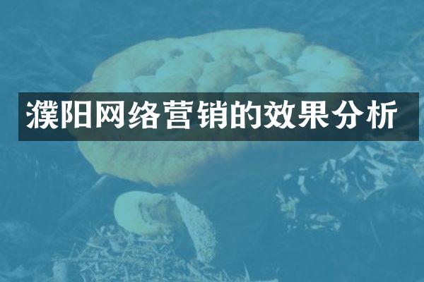 濮阳网络营销的效果分析