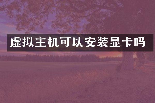 虚拟主机可以安装显卡吗