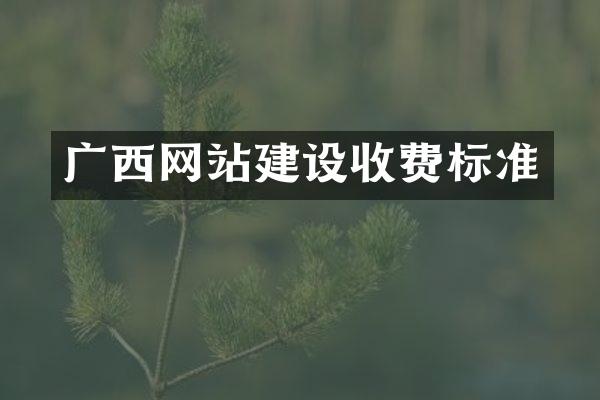 广西网站建设收费标准