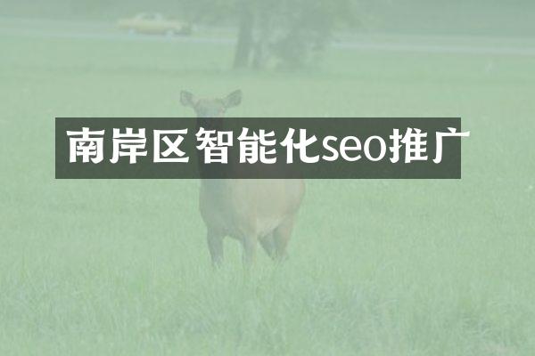 南岸区智能化seo推广