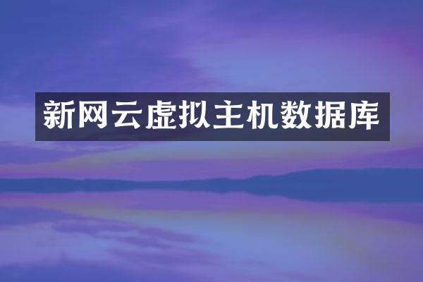 新网云虚拟主机数据库