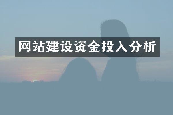 网站建设资金投入分析