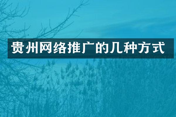贵州网络推广的几种方式