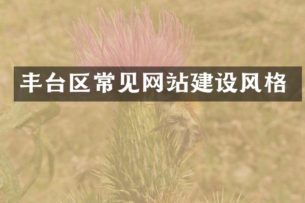 丰台区常见网站建设风格