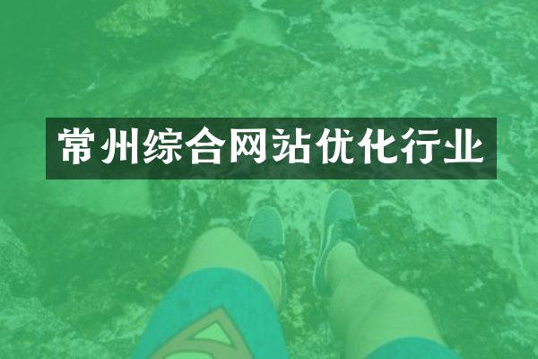 常州综合网站优化行业